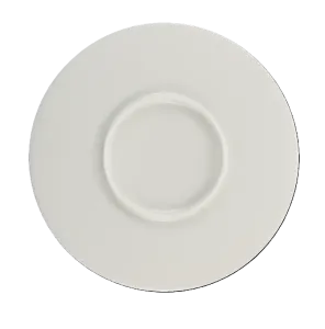Porcelain Flat Plate Elegant Minimalist Serveware for Dining and Entertaining