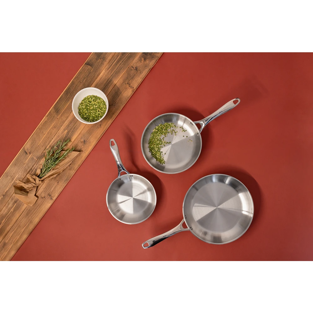 Fry Pan Barazzoni Inox Pro 20cm 8007267199494
