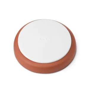 Pop Container 2.0 Brown Sugar Keeper