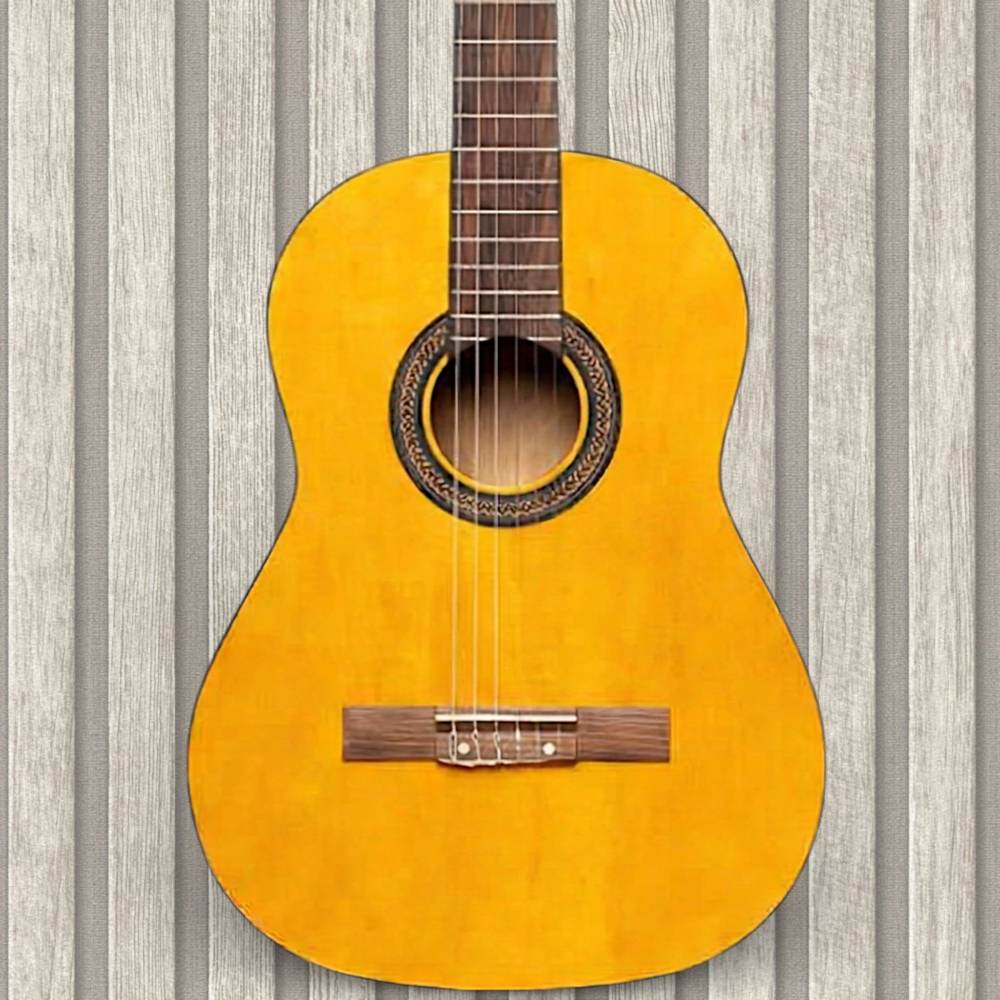 Stagg SCL50 Natural Classical Guitar