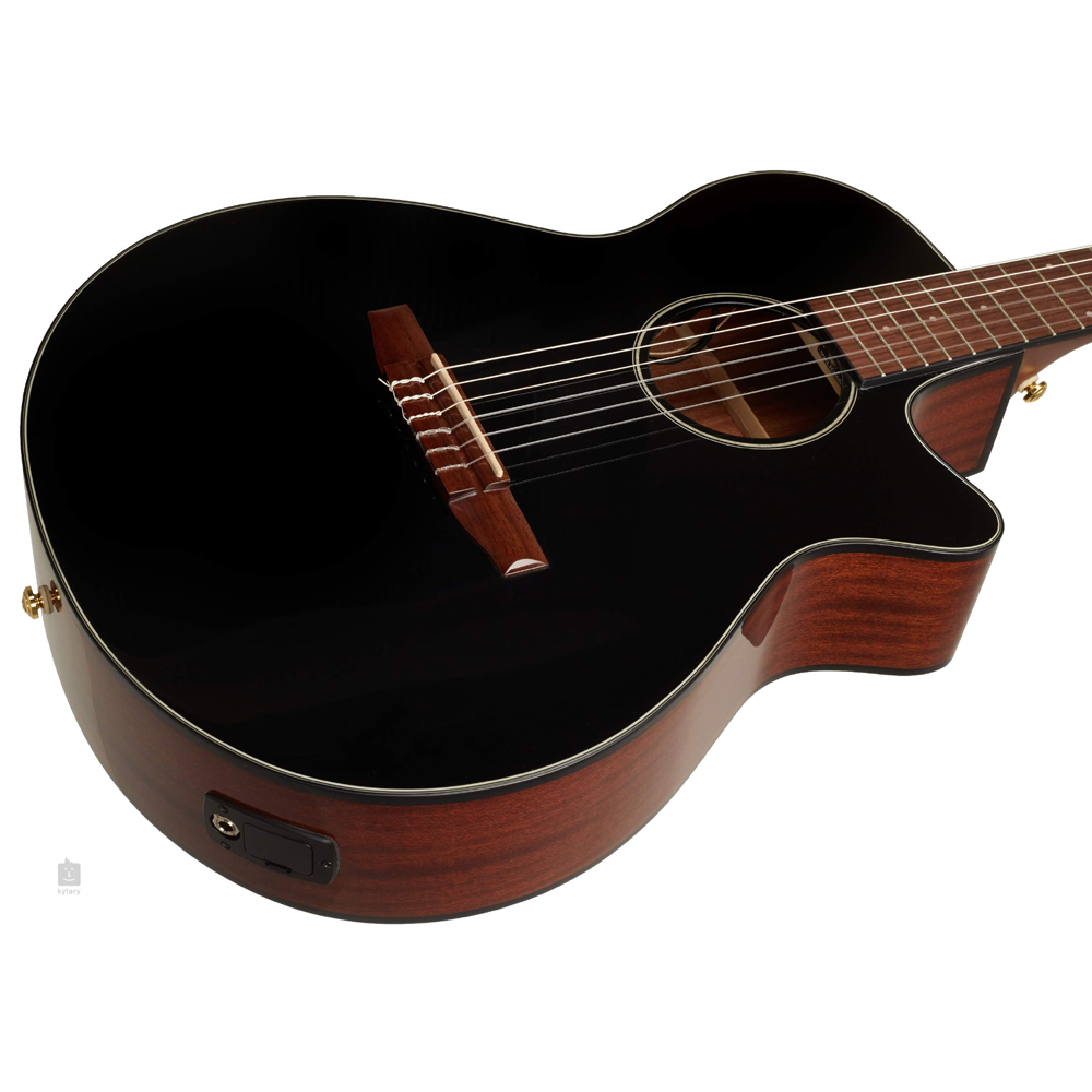 Ibanez AEG50N Acoustic-Electric Guitar - Black High Gloss