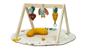 Tiny Love Luxe Gymini Garden
