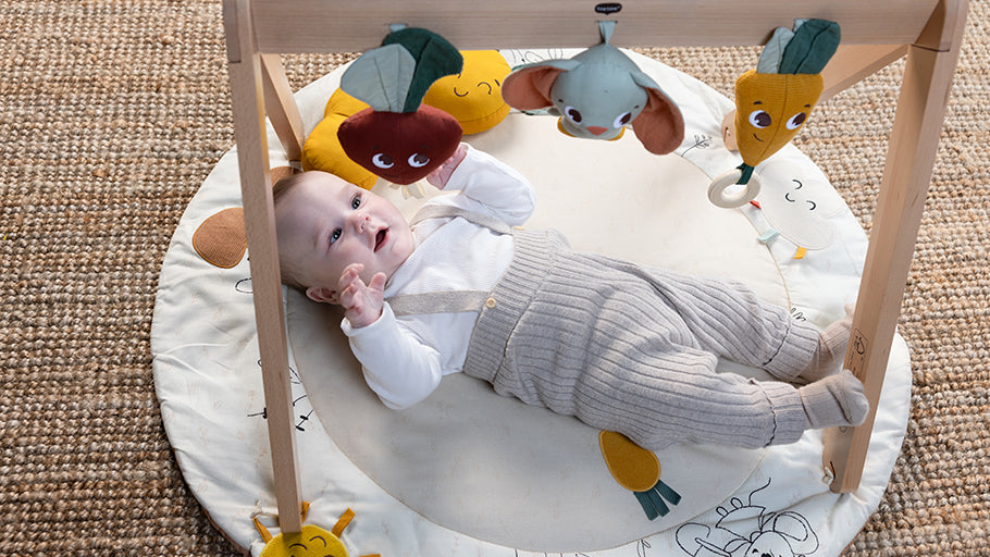 Tiny Love Luxe Gymini Garden