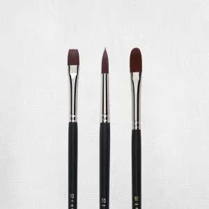 Rembrandt Oil and Acrylic Brush Sets Mixed Shapes 3