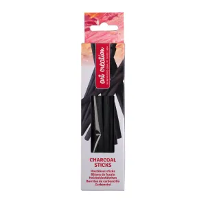 Talens Art Creation Painting Accessories Charcoal 10 Sticks