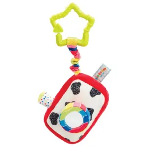 Elc Blossom Farm Clicking Camera