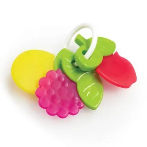 Elc Bf Teether Keys