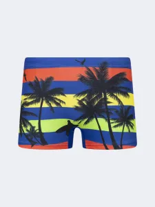 Top Ten Soft Kids-Boys Beach Swim Short Dark Blue