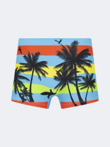 Top Ten Soft Kids-Boys Beach Swim Short Light Blue