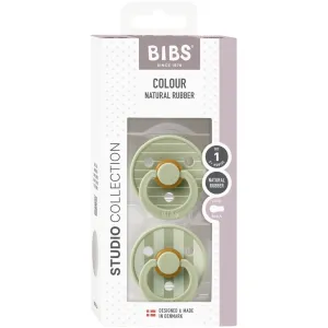 BIBS PACIFIER STUDIO COLOUR 2 PACK PIN L