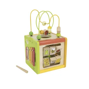 Viga 5-In-1 Activity Cube 