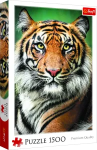 Trefl Puzzles-- - Portrait Of A Tiger
