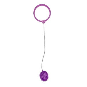 Out Of The Blue Skip Ball With Led #59/2145 Purple