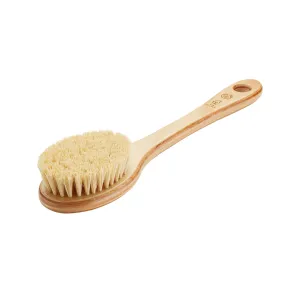 Cactus Long Handle Brush