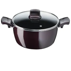 Tefal, Resist Intense - Stewpot 24cm + Glass Lid