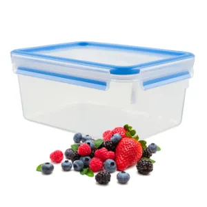 Tefal, Masterseal Fresh rectangle 2.20L
