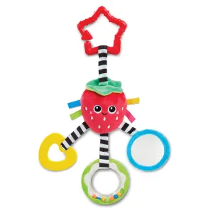Sensory Strawberry Travel Toy