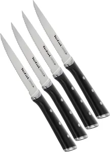 Ice Fore-Set of 4 Steak Knives 11cm