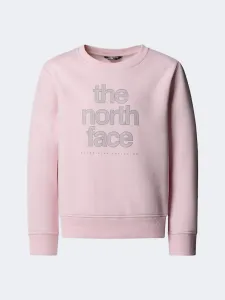 The North Face Reflective Logo Relaxed Vrew Girls Lifestyle Sweatshirt Pale Blossom