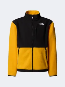 The North Face Teen Denali Boys Hiking Jacket Summit Gold